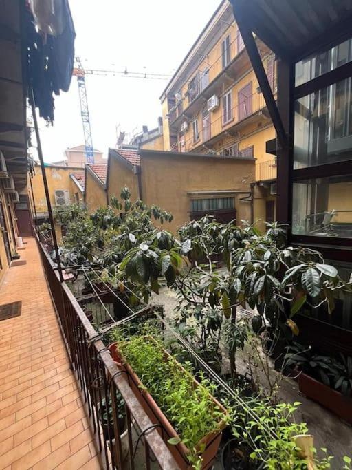 Appartamento Isola La Casa Di Caterina *
